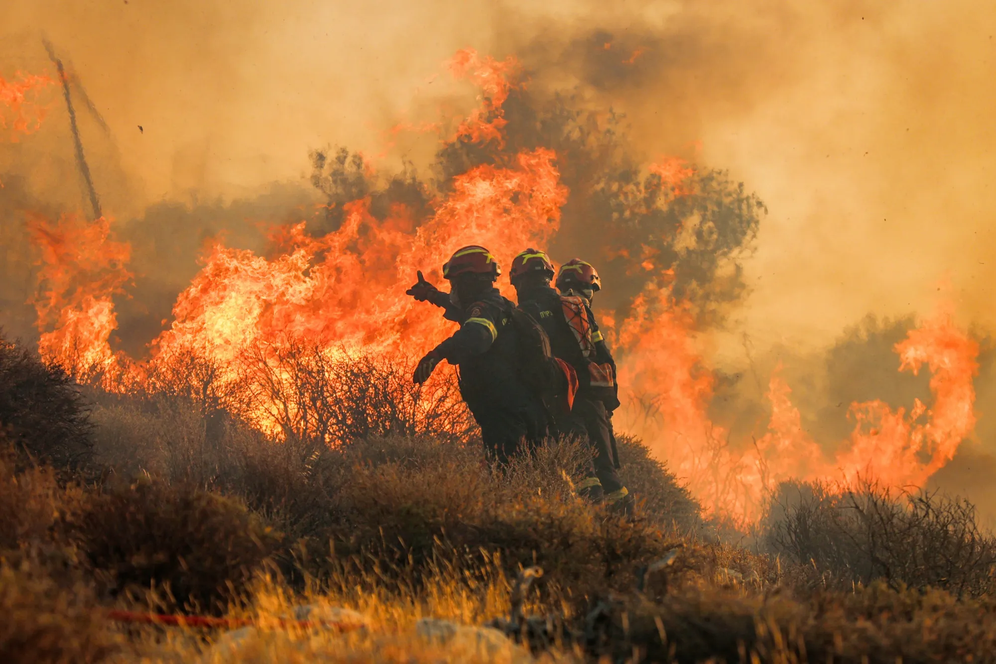 Europe heatwave causes wildfires